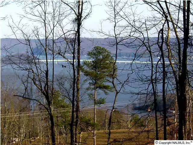 Georgia Mountain Road, Guntersville, AL 35976