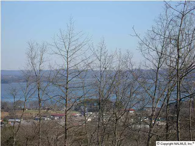 Buckskin Drive, Guntersville, AL 35976