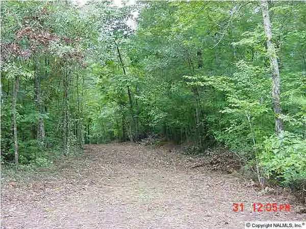 Crane Hill, AL 35053,County Road 175