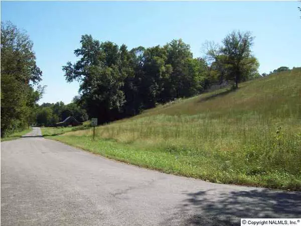 Belvidere, TN 37306,Sugartree Springs Road