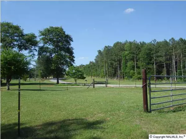 Cedar Bluff, AL 35959,3701 County Road 49