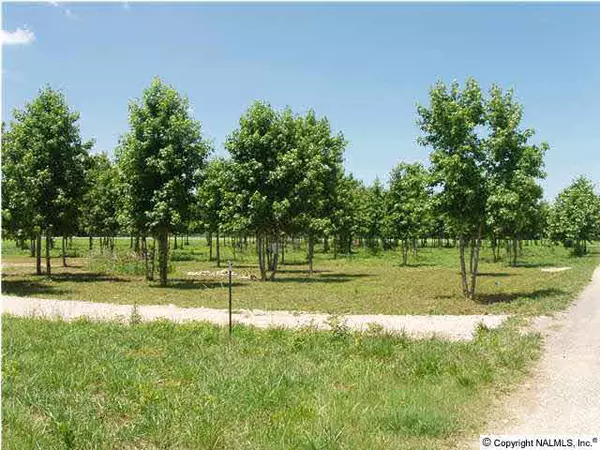 Centre, GA 30959,0 County Road 778