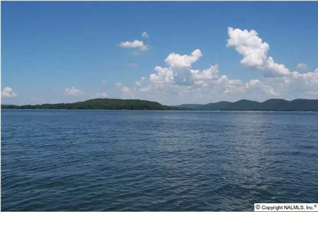 Buck Island Drive, Guntersville, AL 35976