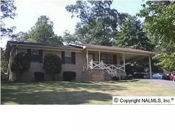 3908 Plains Avenue, Fort Payne, AL 35967