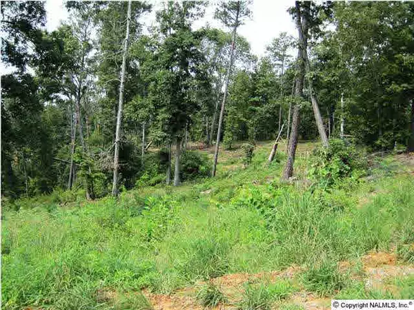 Crane Hill, AL 35053,101 County Road 904