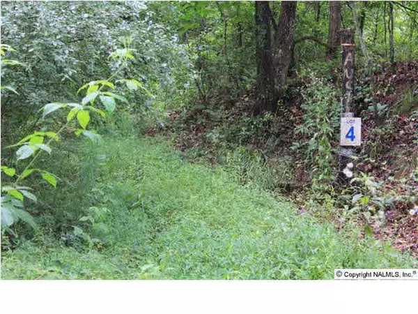 County Road 432, Fyffe, AL 35971