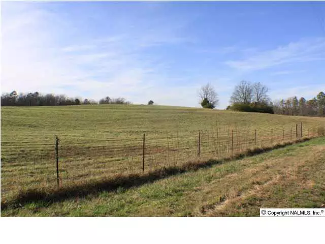 Loper Lane, Guntersville, AL 35976