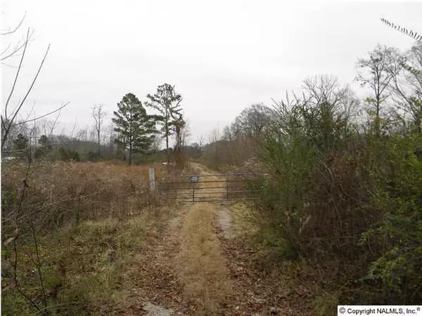 County Road 434, Moulton, AL 35650