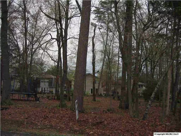 Guntersville, AL 35976,0 Riverbend Estates Road