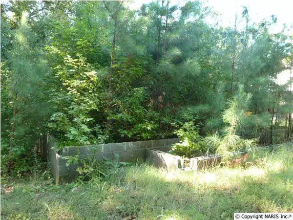 Hazel Green, AL 35750,0 Carriger Road