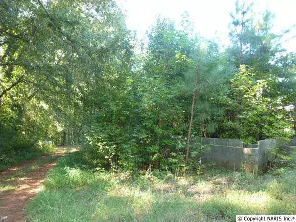 Hazel Green, AL 35750,0 Carriger Road