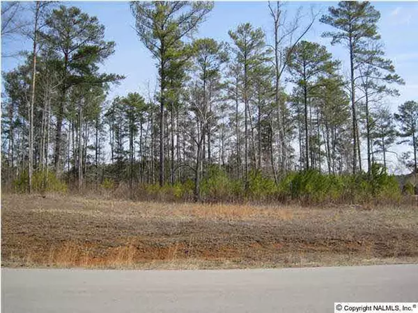 Crane Hill, AL 35053,39 County Road 115