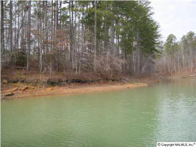 39 County Road 115, Crane Hill, AL 35053