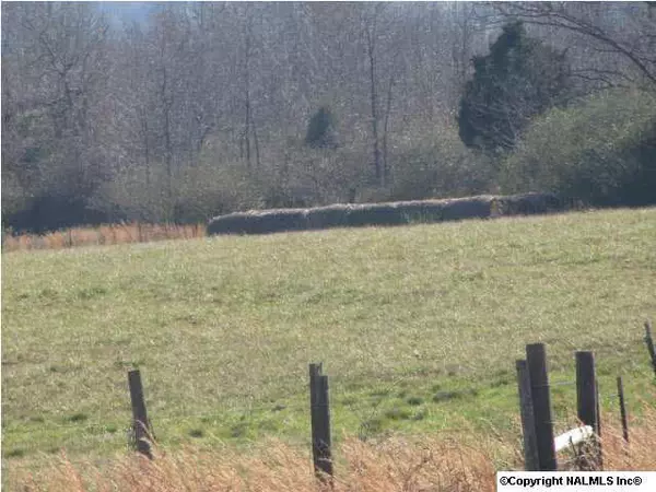 768 Trailer Street, Fyffe, AL 35971