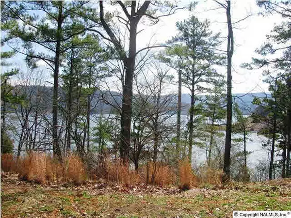 Scottsboro, AL 35769,9 Watersound Lane