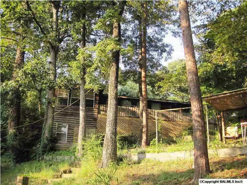 Crane Hill, AL 35053,403 County Road 203