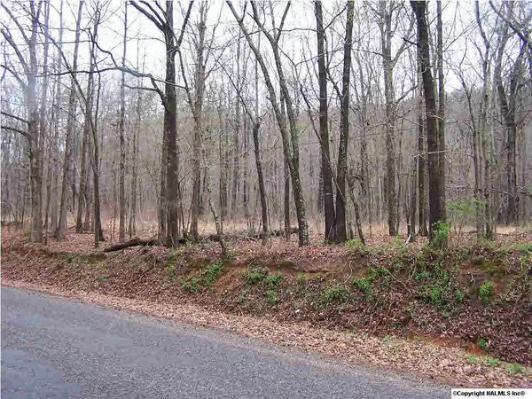 Valley Drive, Steele, AL 35987