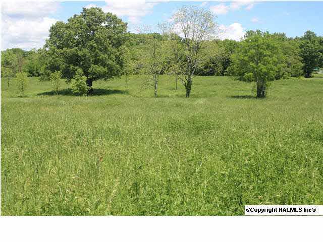 Elkton, TN 38455,1 Old Ardmore Ridge Road