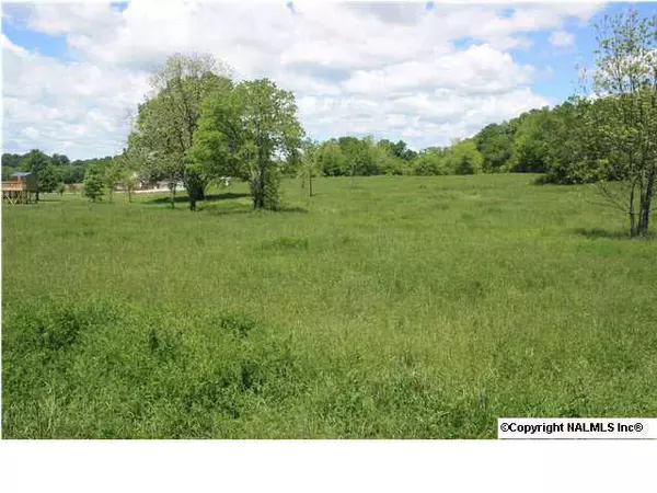 Elkton, TN 38455,1 Old Ardmore Ridge Road