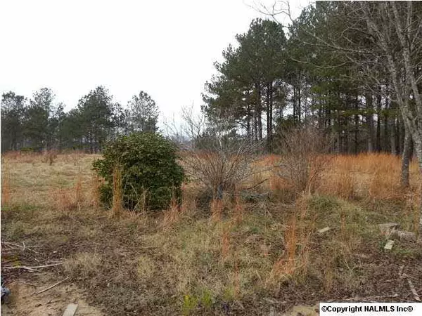 Leesburg, AL 35983,County Road 345