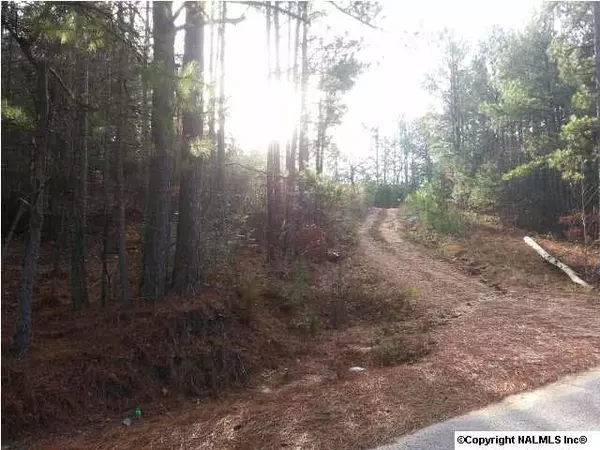 County Road 165, Cedar Bluff, AL 35959