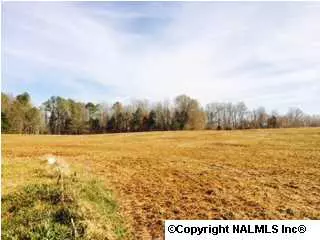 Meridianville, AL 35759,928 Meridianville Bottom Road