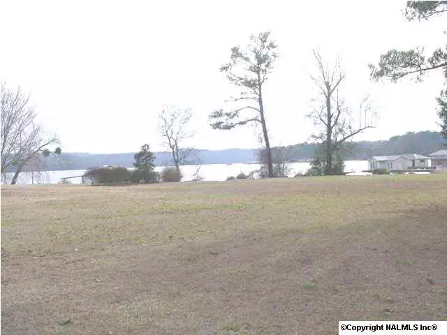 0 Arielle Circle, Guntersville, AL 35976