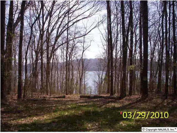 Guntersville, AL 35976,Buck Island Drive