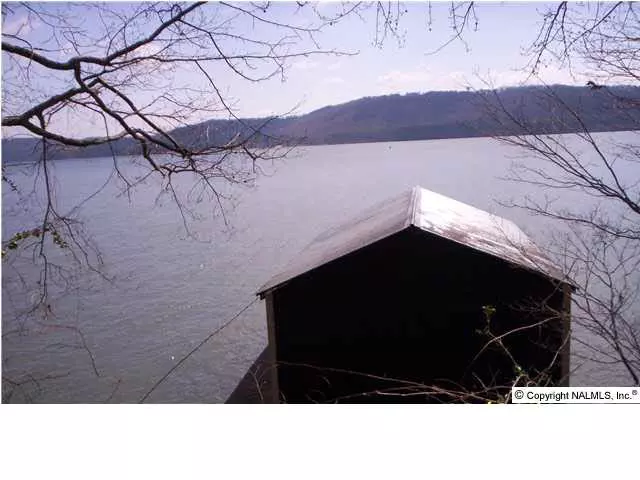 Buck Island Drive, Guntersville, AL 35976