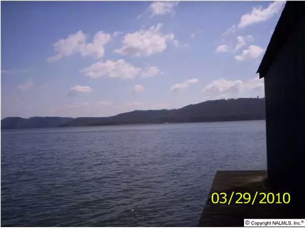 Guntersville, AL 35976,Buck Island Drive