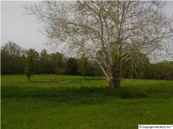 South Sauty Road, Langston, AL 35755