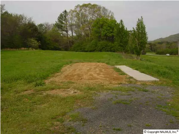 Langston, AL 35755,South Sauty Road