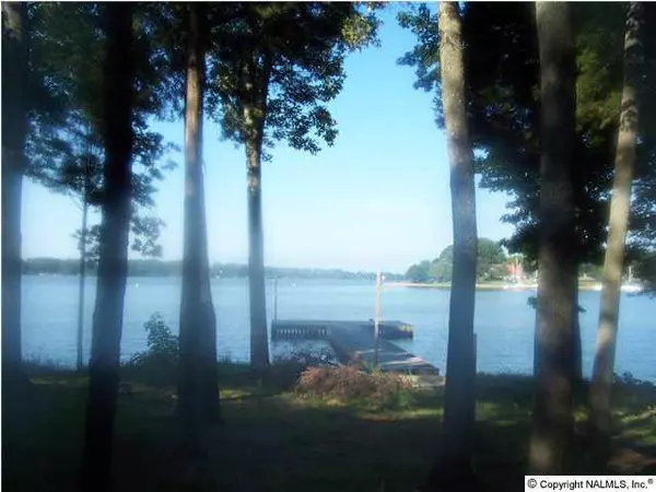 Leesburg, AL 35983,6 County Road 146