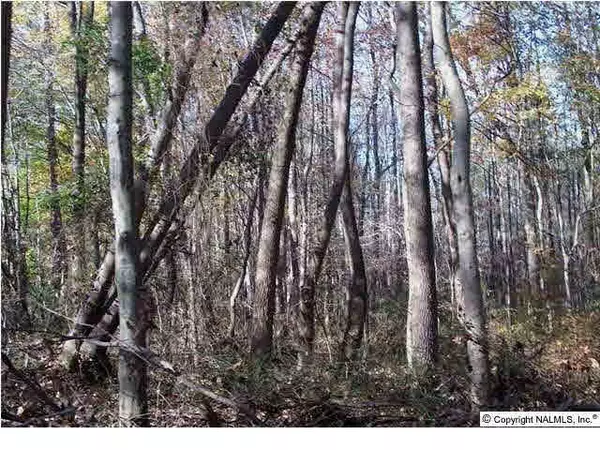 0 County Road 196, Dawson, AL 35963