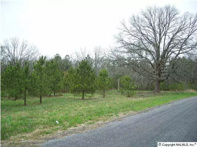 Beagle Club Road, Boaz, AL 35957