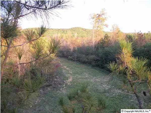 Carbon Hill, AL 35549,1417 Scott Cemetery Road