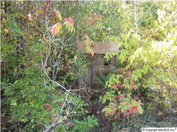 Carbon Hill, AL 35549,1417 Scott Cemetery Road