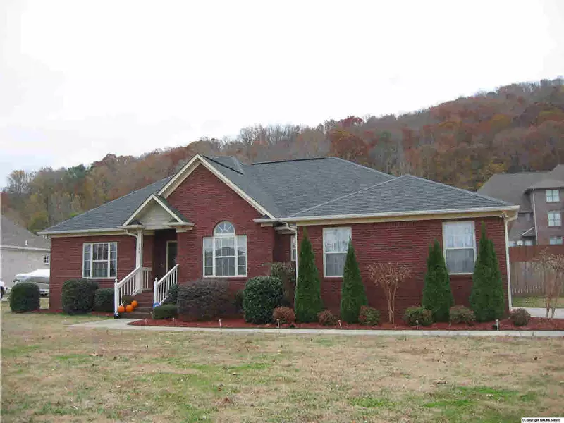 146 Azalea Circle, Guntersville, AL 35976