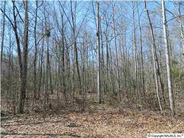 Toney, AL 35773,Katie Drive