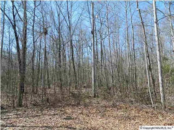 Katie Drive, Toney, AL 35773