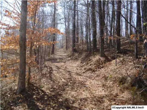 Goodspring, TN 38460,Turkey Branch Road