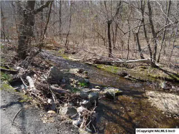 Goodspring, TN 38460,Turkey Branch Road