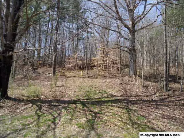 Goodspring, TN 38460,Turkey Branch Road