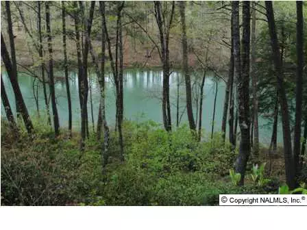 43 Sipsey Overlook Road, Double Springs, AL 35553