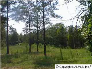 Piedmont, AL 36272,2004 County Road 14