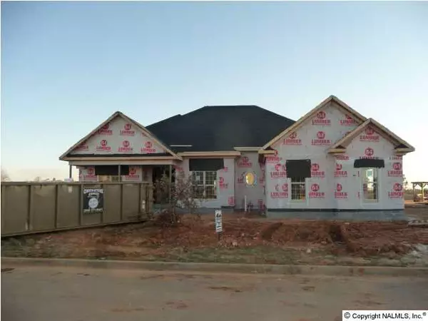 Madison, AL 35757,113 Barons Court