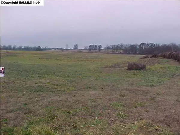 County Road 843, Dawson, AL 35963