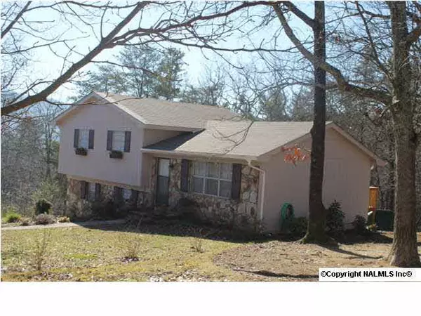 510 NW 19th Street, Fort Payne, AL 35967