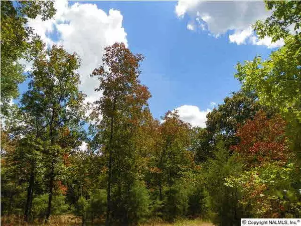 1523 Gum Springs Road, Falkville, AL 35622