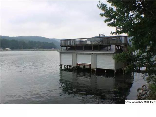 Scottsboro, AL 35976,Pine Island Circle